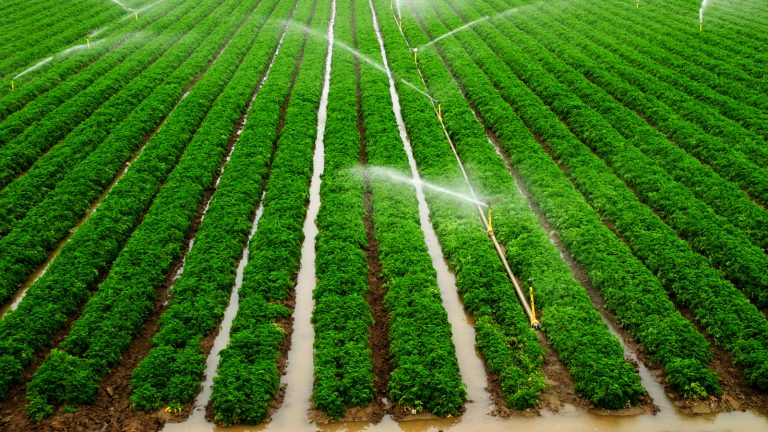 Factors to Consider when choosing an Irrigation Method/System