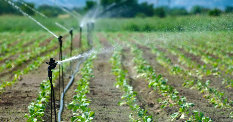 Farmers Ask: should i go for Pump fed (pressurised) or Gravity fed DRIP IRRIGATION SYSTEM?
